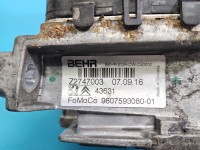 Chłodnica spalin CITROEN DS4 15-20 9807593080 2.0 hdi