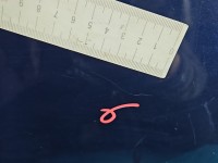 Drzwi tył lewe Toyota Avensis II T25 sedan 4d granatowy 8P4