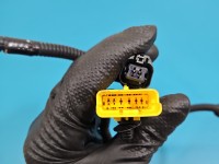 Wiązka instalacja 9841702380, 9841702380 Peugeot 3008 II 9841702380, 4539410