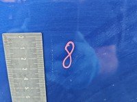 DRZWI PRZÓD PRAWE PASAŻERA Mazda 6 I GG 4d granatowy 25B