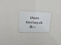 Maska przednia Toyota Yaris I 1e7
