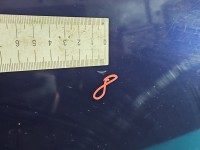 Drzwi tył lewe Seat Leon I Toledo II HB 5d LB5N