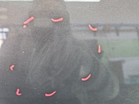 Maska przednia Opel Insignia A Z190