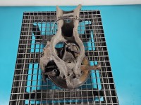 Zwrotnica prawa piasta przód 2.0 hdi Peugeot 407