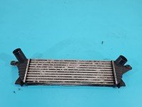 Intercooler Renault Kangoo I 1.9 dci