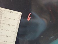 Błotnik przód prawy Citroen C4 Grand picasso I 06-13 czarny EXYB