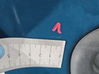 DRZWI PRZÓD PRAWE PASAŻERA Renault Kangoo I 5d zielony