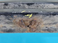 Wzmocnienie zderzaka przód belka Skoda Superb II skorodowane mocowanie przednie LF8J