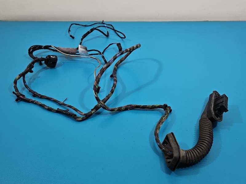 Instalacja Wiązka drzwi tył lewych BMW X6 E71 920786003, 6925548