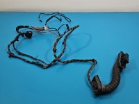 Instalacja Wiązka drzwi tył lewych BMW X6 E71 920786003, 6925548