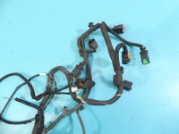 InstalacJa Wiązka silnika Peugeot 208 I 12-19 1.6 hdi 9808960980A, 9802424080, 9804196780