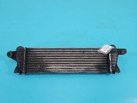 Intercooler Renault Kangoo I 1.9 dci