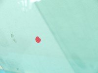 Szyba drzwi przód prawa Renault Kangoo I HB