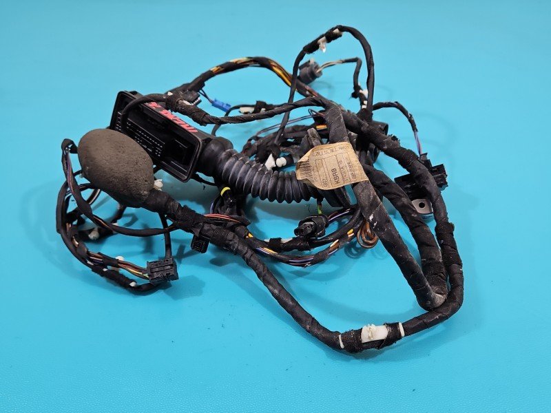 Instalacja Wiązka drzwi przód prawych BMW X3 G01 8792821, 8792821-01 Instalacja Wiązka drzwi przód prawych BMW X3 G01 8792821, 8792821-01