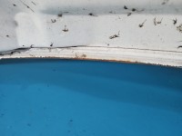 Maska przednia Vw LT II biały