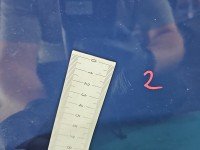 Drzwi tył prawe Ford Focus Mk3 kombi 5d granatowy BB