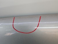 Maska przednia Ford Freestyle Taurus X beżowy PNUPL0 - Silver Birch Metallic