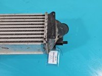 Intercooler Peugeot 406 2.0 hdi