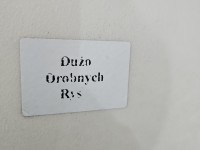 Drzwi tył lewe Nissan Note I E11 HB 5d BW9