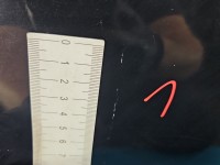 DRZWI PRZÓD PRAWE PASAŻERA Audi A4 B7 5d LZ9Y