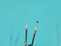 Zamek tył lewy Suzuki Sx4 I 06- Suzuki, 2pin