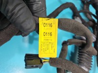 Instalacja Wiązka drzwi przód prawych Opel Antara
