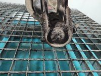 Amortyzator przód lewy przedni Fiat Doblo I