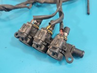 Instalacja LPG GAZU Landi Renzo, Europejska, KPL., LANDI RENZO OMEGAS EVO