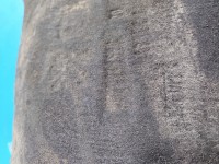 Nadkole przód lewe Peugeot 508 I 9670948540