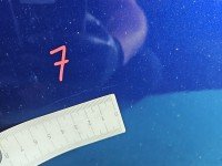 DRZWI PRZÓD PRAWE PASAŻERA Ford Focus Mk3 5d granatowy HF