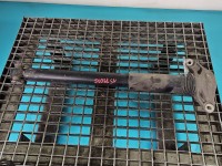 Amortyzator tył lewy Jaguar F-Pace 16- HB tylny