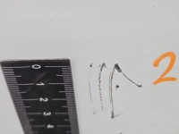 Drzwi tył lewe Fiat Ducato IV HB 5d 549