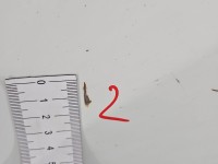 Drzwi tył prawe Fiat Ducato III 06-14 boxer jumper HB 5d biały