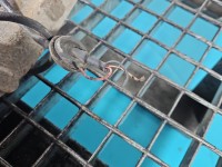 Zwrotnica prawa piasta przód 1.9 TDI Vw Passat B5