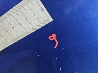 Maska przednia Fiat Grande Punto