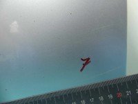 DRZWI PRZÓD PRAWE PASAŻERA Opel Meriva B 5d srebrny