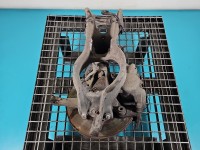 Zwrotnica lewa piasta przód 2.0 hdi Peugeot 407