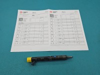 Wtryskiwacz Renault Scenic II 1.5 dci