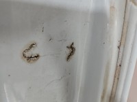 Drzwi tył lewe Renault Master III 10-24 HB 5d Brak