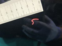 DRZWI PRZÓD PRAWE PASAŻERA Volvo V90 5d czarny 467- 46