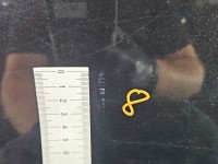 Drzwi tył prawe Chevrolet Captiva HB 5d czarny GAR