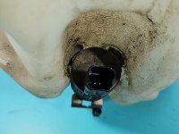 Zbiornik Zbiorniczek płynu spryskiwacza Renault Megane IV