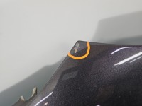 Błotnik przód lewy Citroen C4 Grand Picasso II 13-22 Evl