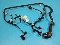 Instalacja Wiązka drzwi przód lewych Ford Kuga Mk2 II 13-19