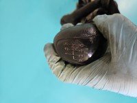 DŹWIGNIA LEWAREK WYBIERAK LINKI Vw Crafter 06- 2.5 tdi