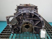 Blok silnika Ford Fiesta Mk7 1.6 16V