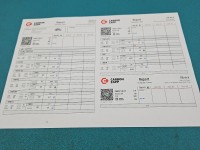 TESTOWANY Wtryskiwacz 0445110617, 7810702 BMW X1 E84 2.0d 184KM