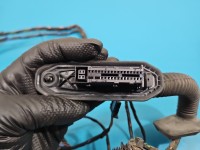 Instalacja Wiązka drzwi tył lewych BMW X6 E71 920786003, 6925548