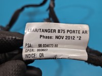 Instalacja Wiązka drzwi tył lewych Citroen DS4 11-15 9803467380, 9642931880