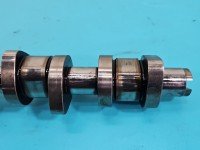 Wałek rozrządu Audi A4 B7 1.9 tdi